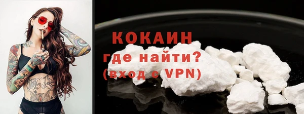 твердый Богородск