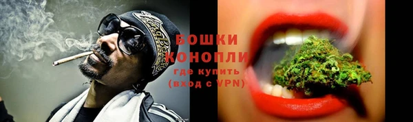 твердый Богородск
