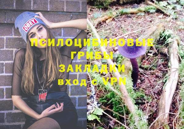 кокс Богданович