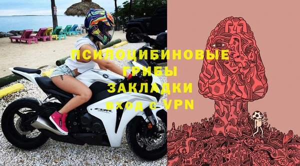 твердый Богородск